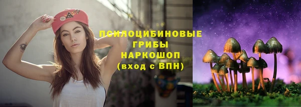 дмт Лиски
