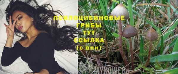 apvp Липки