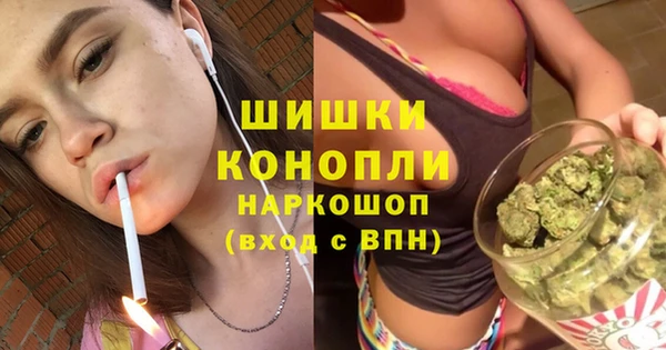 дмт Лиски
