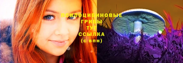 дмт Лиски