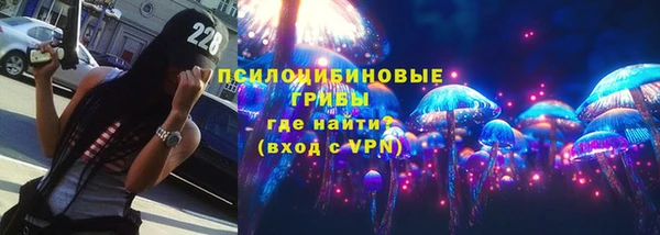 дмт Лиски