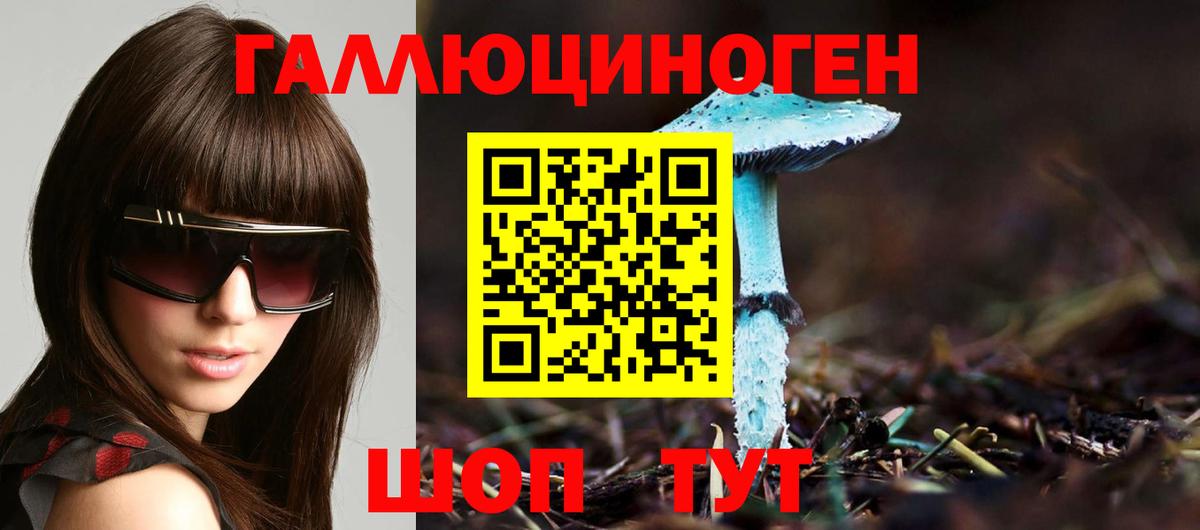 Галлюциногенные грибы Psilocybine cubensis Энгельс