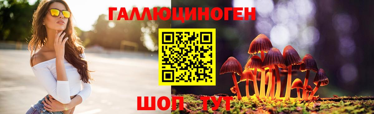 Энгельс  Псилоцибиновые грибы Psilocybine cubensis  Вход с VPN  Псилоцибиновые грибы MAGIC MUSHROOMS 